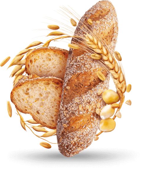 Pane Funzionale Salus®